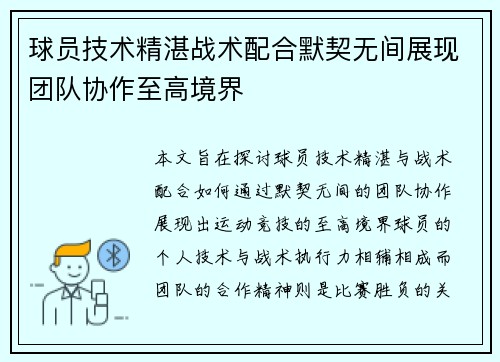 球员技术精湛战术配合默契无间展现团队协作至高境界